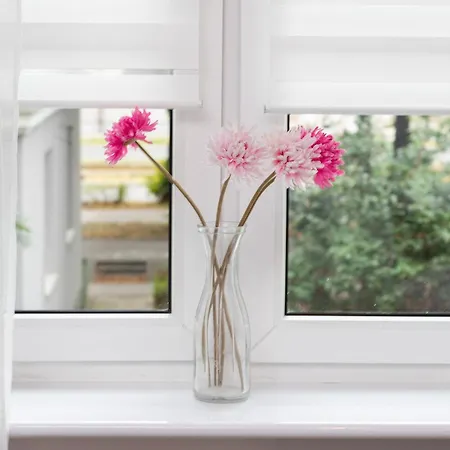 Beautiful & Comfortable Spacious In By Renters *