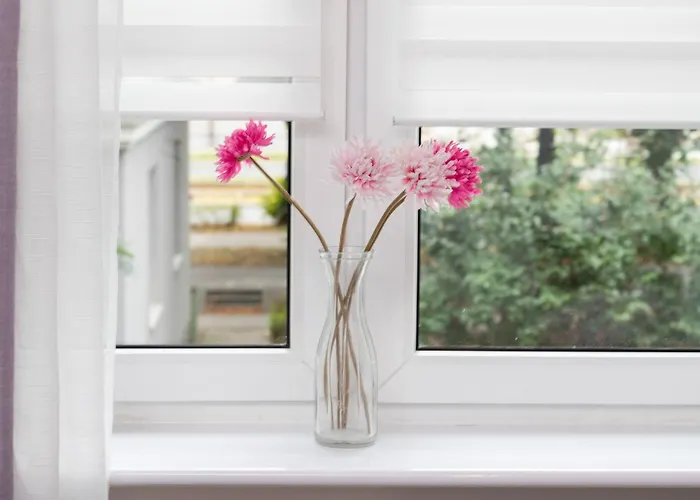 Beautiful & Comfortable Spacious In By Renters *